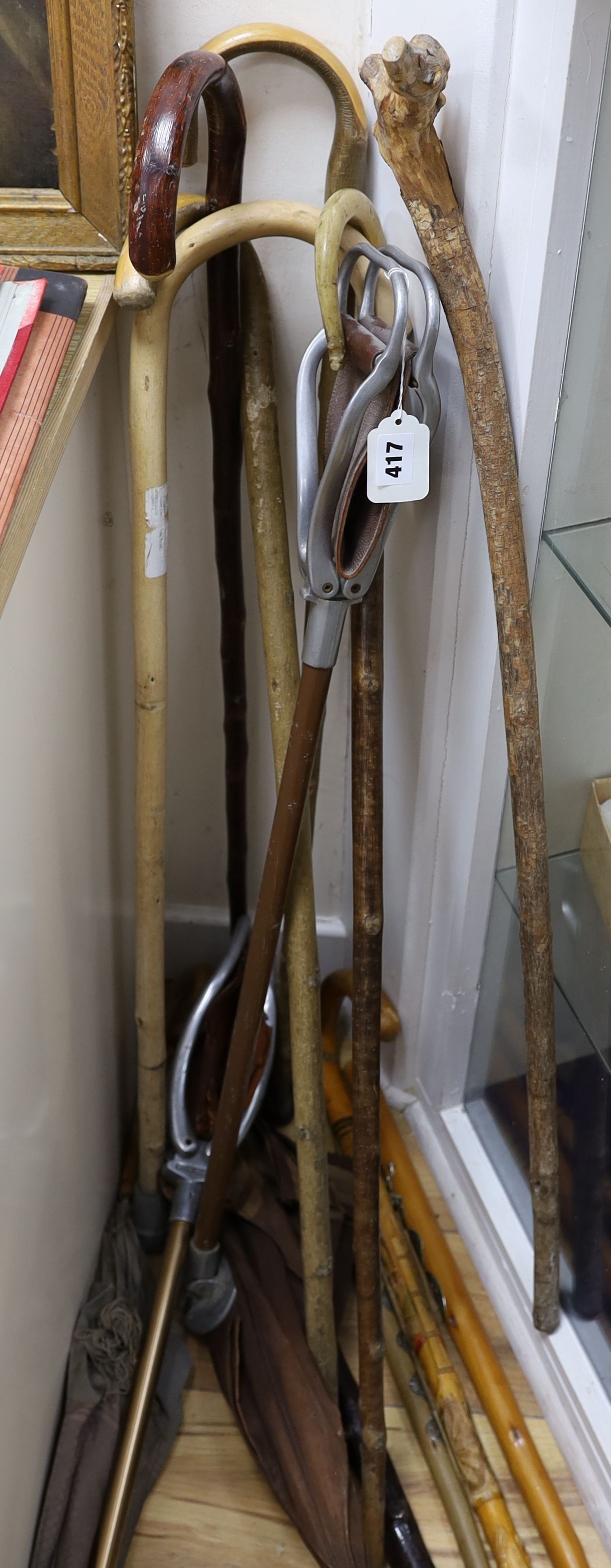 A quantity of various walking and shooting sticks